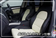 D・E・Pデザイン(Hライン)装着例 COLOR:ブラック/アイボリー